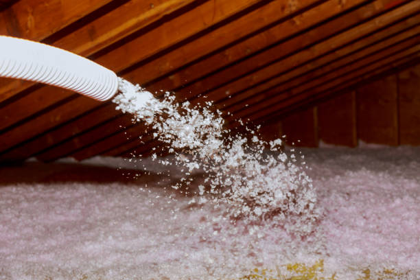 Best Attic Insulation Installation  in Silver Lake, NC