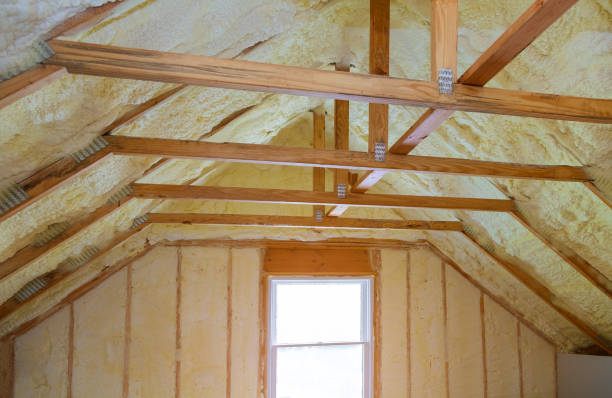 Best Crawl Space Insulation  in Silver Lake, NC