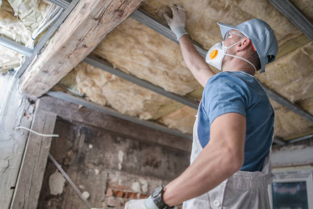 Best Affordable Insulation Services  in Silver Lake, NC