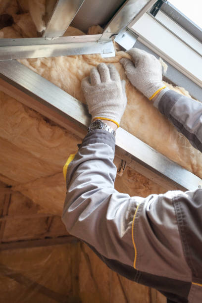 Best Garage Insulation Installation  in Silver Lake, NC