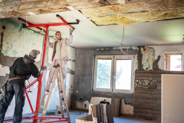 Best Insulation for New Construction  in Silver Lake, NC