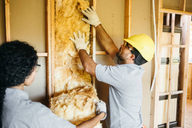 Best Spray Foam Insulation  in Silver Lake, NC