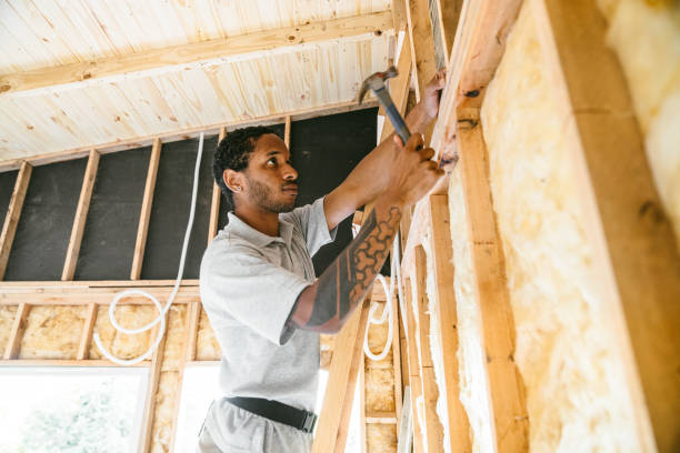 Insulation Inspection Services in Silver Lake, NC