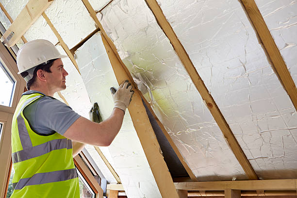 Best Local Insulation Services  in Silver Lake, NC