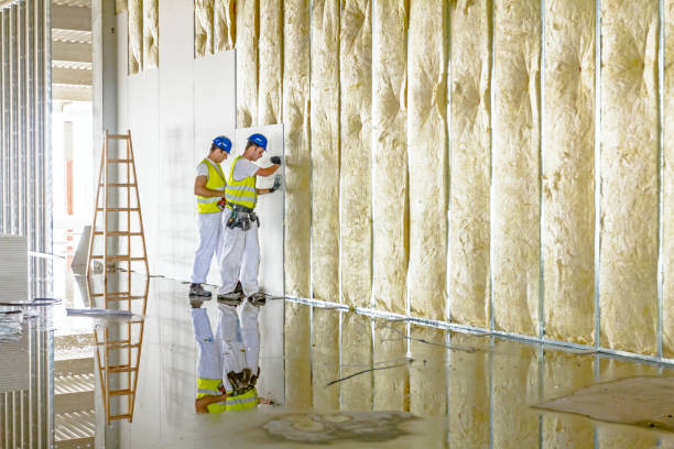 Best Insulation Repair Services  in Silver Lake, NC